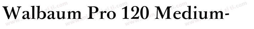 Walbaum Pro 120 Medium字体转换